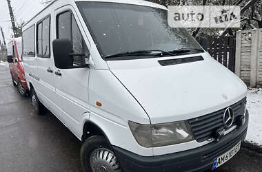 Микроавтобус Mercedes-Benz Sprinter 1997 в Кривом Роге