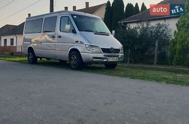 Микроавтобус Mercedes-Benz Sprinter 2002 в Берегово