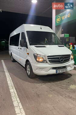 Мікроавтобус Mercedes-Benz Sprinter 2010 в Чернівцях