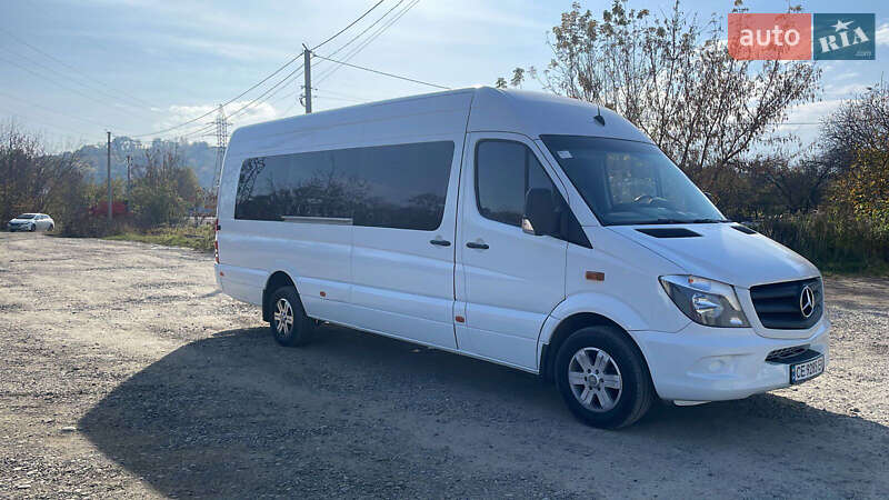 Мікроавтобус Mercedes-Benz Sprinter 2010 в Чернівцях