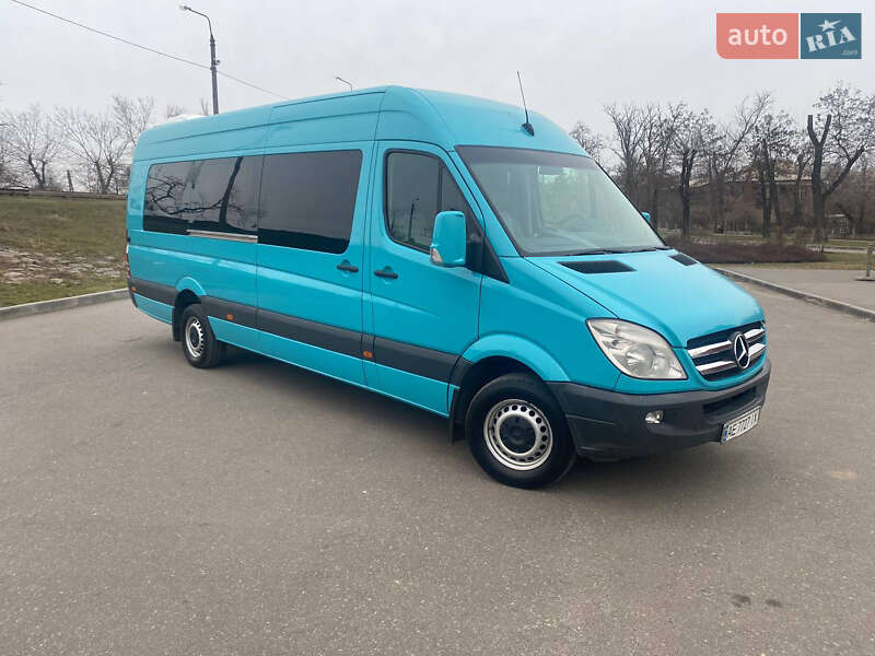 Микроавтобус Mercedes-Benz Sprinter 2010 в Кривом Роге