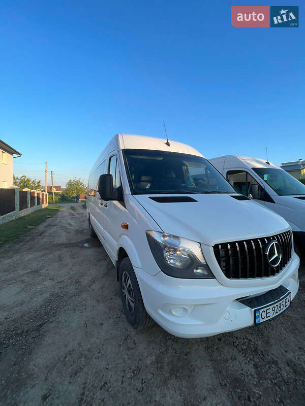 Мікроавтобус Mercedes-Benz Sprinter 2010 в Чернівцях
