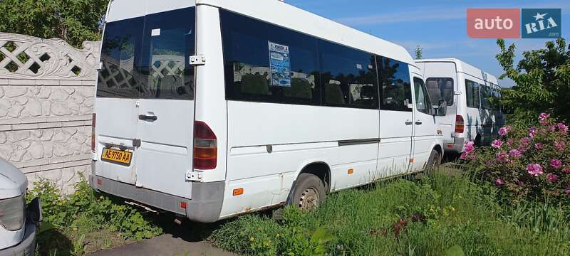 Микроавтобус Mercedes-Benz Sprinter 2000 в Кривом Роге