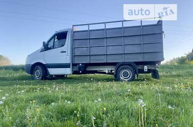 Для перевозки животных Mercedes-Benz Sprinter 2006 в Хмельницком