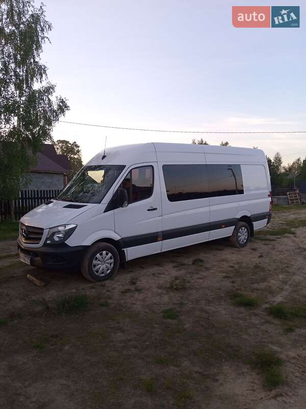 Микроавтобус Mercedes-Benz Sprinter 2017 в Рокитном