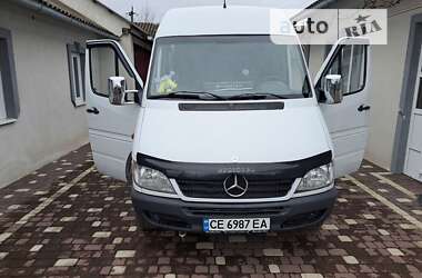 Микроавтобус Mercedes-Benz Sprinter 2005 в Снятине