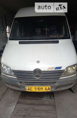 Другие автобусы Mercedes-Benz Sprinter 2003 в Кривом Роге