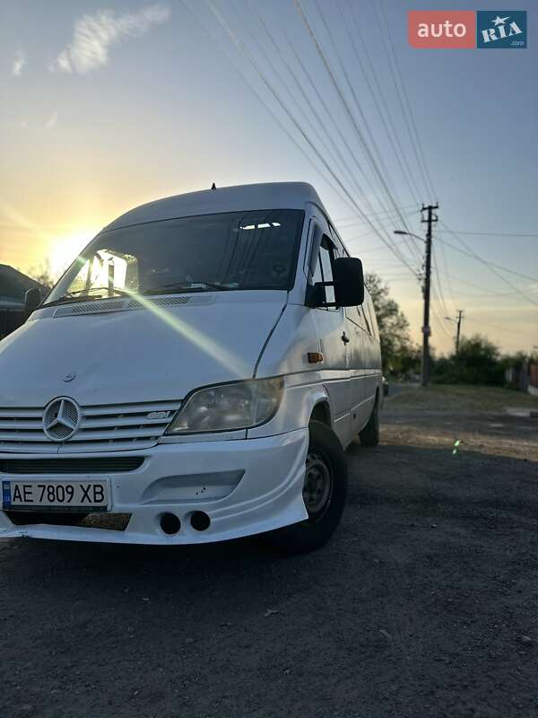 Мікроавтобус Mercedes-Benz Sprinter 2002 в Дніпрі