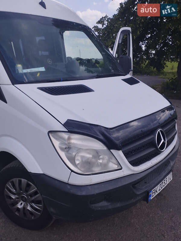 Микроавтобус Mercedes-Benz Sprinter 2010 в Сарнах