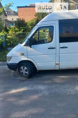 Микроавтобус Mercedes-Benz Sprinter 2003 в Николаеве