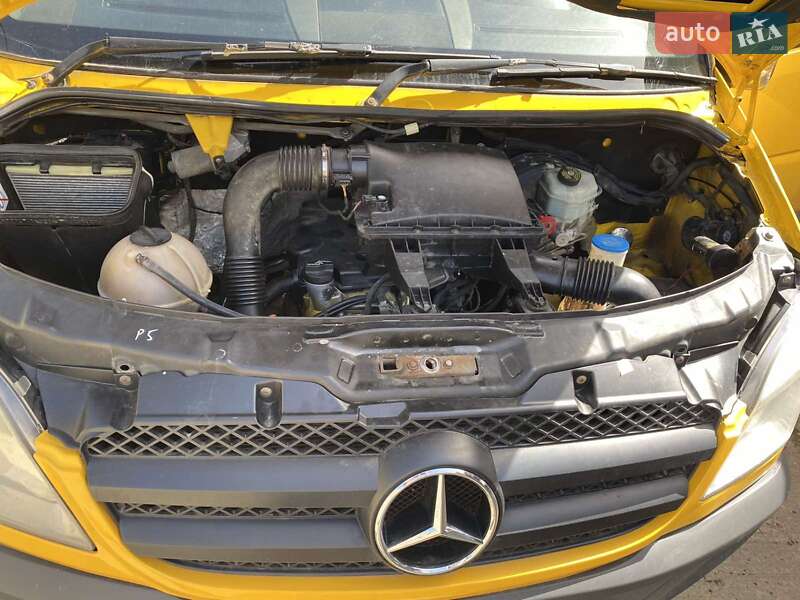 Інші автобуси Mercedes-Benz Sprinter 2008 в Тячеві