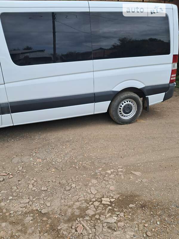 Мікроавтобус Mercedes-Benz Sprinter 2015 в Береговому