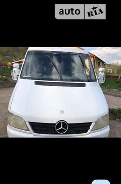 Вантажопасажирський фургон Mercedes-Benz Sprinter 2004 в Кременці