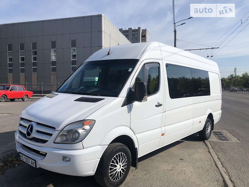 Микроавтобус Mercedes-Benz Sprinter 2009 в Днепре