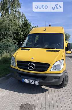 Мікроавтобус Mercedes-Benz Sprinter 2010 в Кам'янець-Подільському