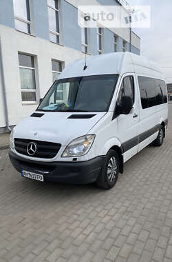 Мікроавтобус Mercedes-Benz Sprinter 2011 в Житомирі