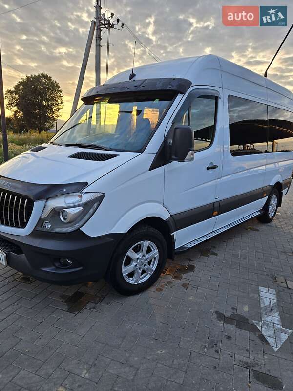 Микроавтобус Mercedes-Benz Sprinter 2016 в Тячеве