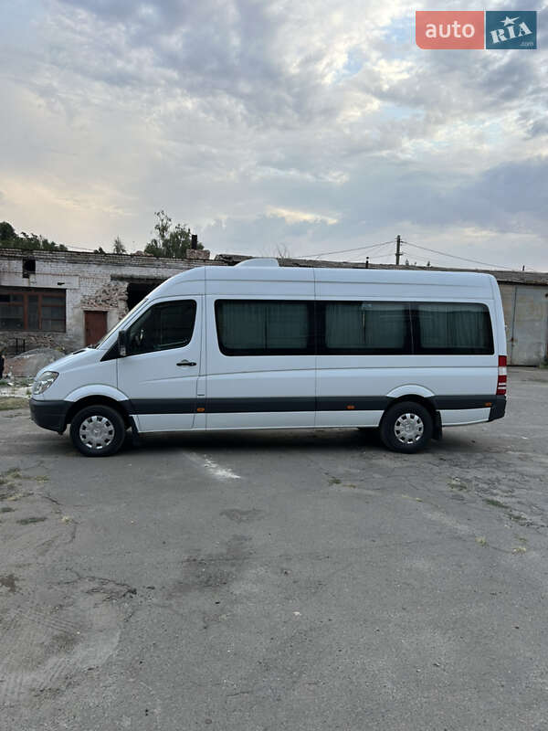 Микроавтобус Mercedes-Benz Sprinter 2013 в Кривом Роге