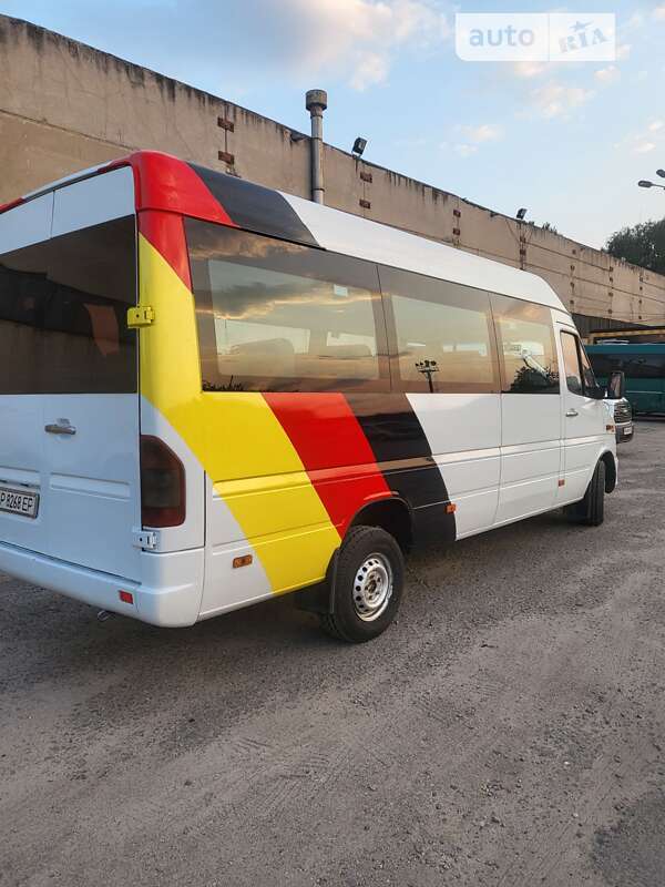 Микроавтобус Mercedes-Benz Sprinter 2006 в Запорожье