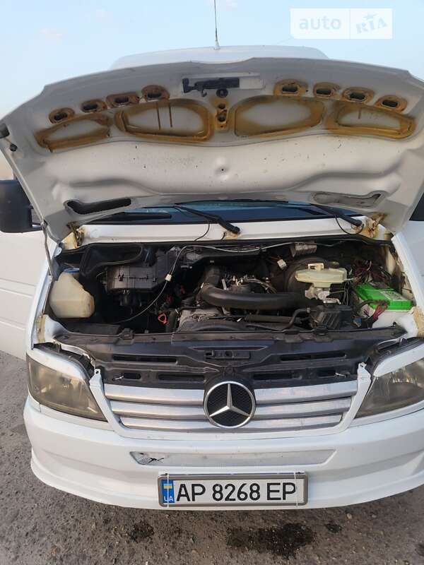 Микроавтобус Mercedes-Benz Sprinter 2006 в Запорожье