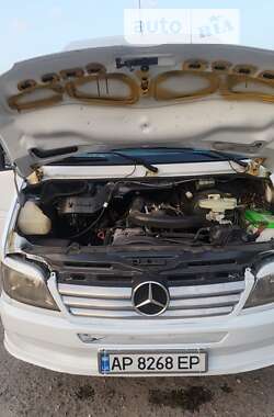 Микроавтобус Mercedes-Benz Sprinter 2006 в 