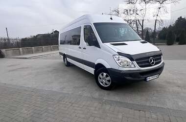 Мікроавтобус Mercedes-Benz Sprinter 2008 в 