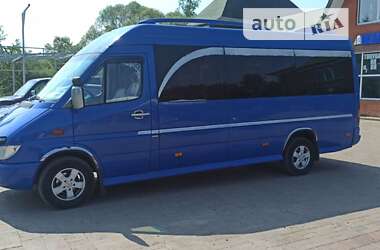 Микроавтобус Mercedes-Benz Sprinter 2003 в Рожнятове