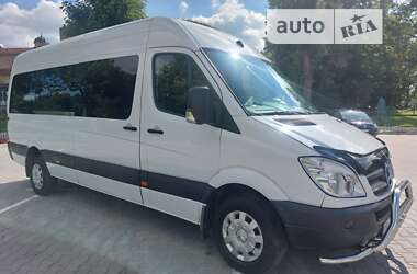 Інші вантажівки Mercedes-Benz Sprinter 2009 в Бережанах