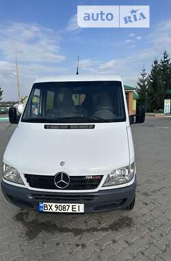 Грузопассажирский фургон Mercedes-Benz Sprinter 2005 в Хмельницком