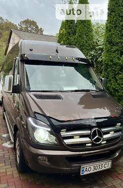 Мікроавтобус Mercedes-Benz Sprinter 2010 в Тячеві