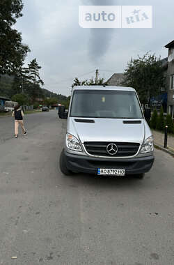 Мікроавтобус Mercedes-Benz Sprinter 2009 в Тячеві