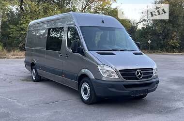 Грузопассажирский фургон Mercedes-Benz Sprinter 2009 в Желтых Водах