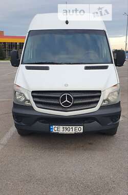 Мікроавтобус Mercedes-Benz Sprinter 2010 в Чернівцях