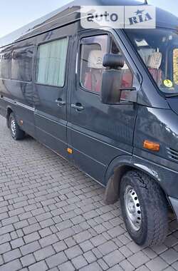 Грузопассажирский фургон Mercedes-Benz Sprinter 2005 в Теофиполе