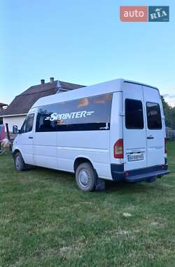 Мікроавтобус Mercedes-Benz Sprinter 2001 в Верховині