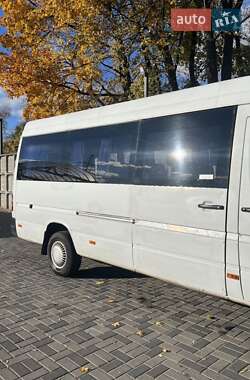 Микроавтобус Mercedes-Benz Sprinter 2001 в Днепре