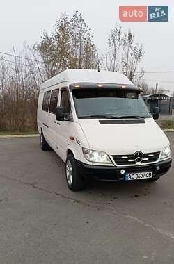 Мікроавтобус Mercedes-Benz Sprinter 2004 в Ратному