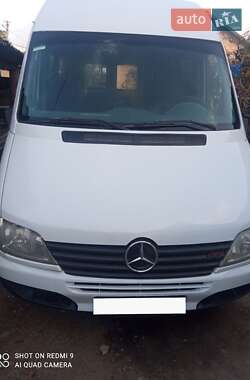 Микроавтобус Mercedes-Benz Sprinter 2001 в Каменец-Подольском