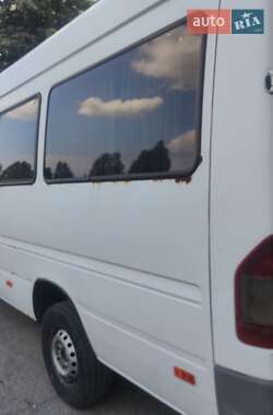 Мікроавтобус Mercedes-Benz Sprinter 1998 в Запоріжжі