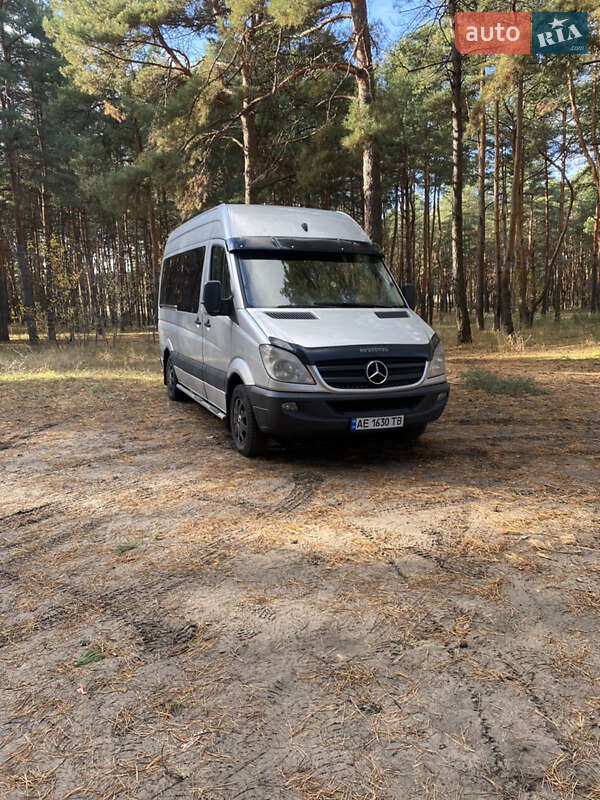Мікроавтобус Mercedes-Benz Sprinter 2007 в Кам'янському
