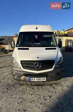 Грузовой фургон Mercedes-Benz Sprinter 2013 в Гайвороне