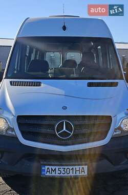 Другие автобусы Mercedes-Benz Sprinter 2015 в Житомире