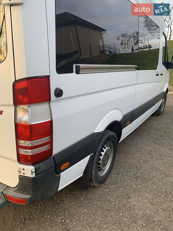 Микроавтобус Mercedes-Benz Sprinter 2010 в Черновцах