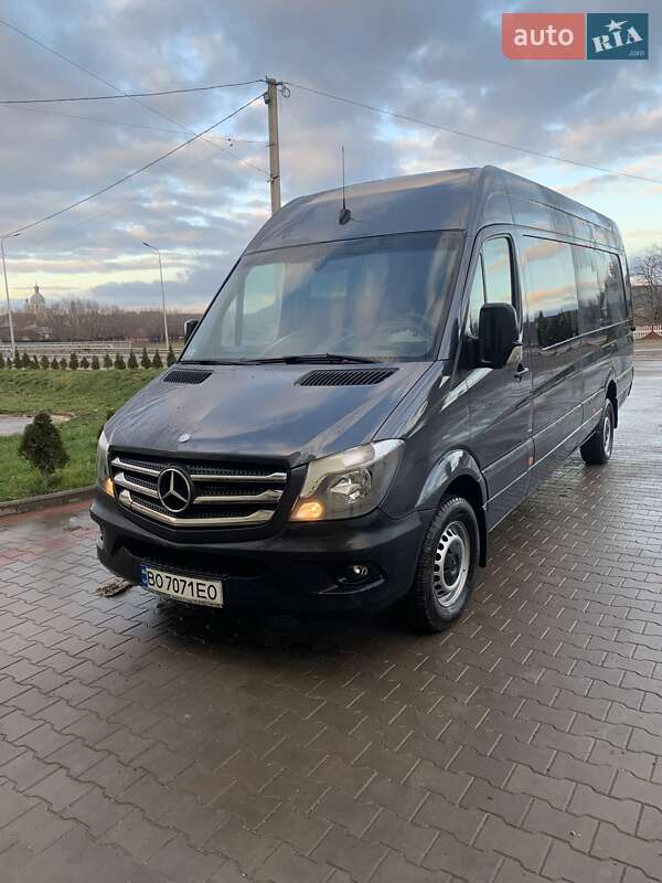 Грузопассажирский фургон Mercedes-Benz Sprinter 2014 в Чорткове