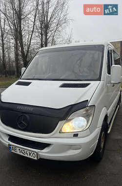 Микроавтобус Mercedes-Benz Sprinter 2010 в Кривом Роге