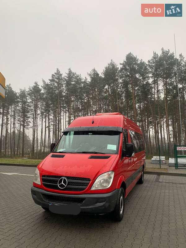 Микроавтобус Mercedes-Benz Sprinter 2010 в 