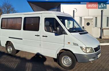 Микроавтобус Mercedes-Benz Sprinter 2006 в Костополе