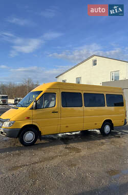 Микроавтобус Mercedes-Benz Sprinter 2004 в 
