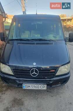 Микроавтобус Mercedes-Benz Sprinter 2005 в Сумах