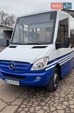 Городской автобус Mercedes-Benz Sprinter 2013 в Кривом Роге